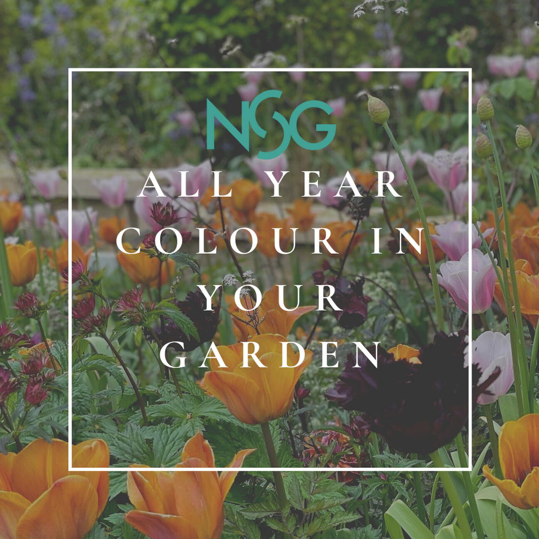 Creating All-year Colour in Your Garden - A workshop for all keen gardeners