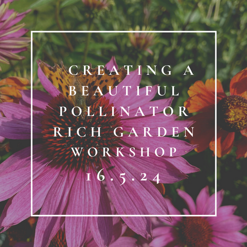 Transform your garden into a haven for pollinators with our immersive workshop.