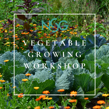 Load image into Gallery viewer, Vegetable Growing Workshop

