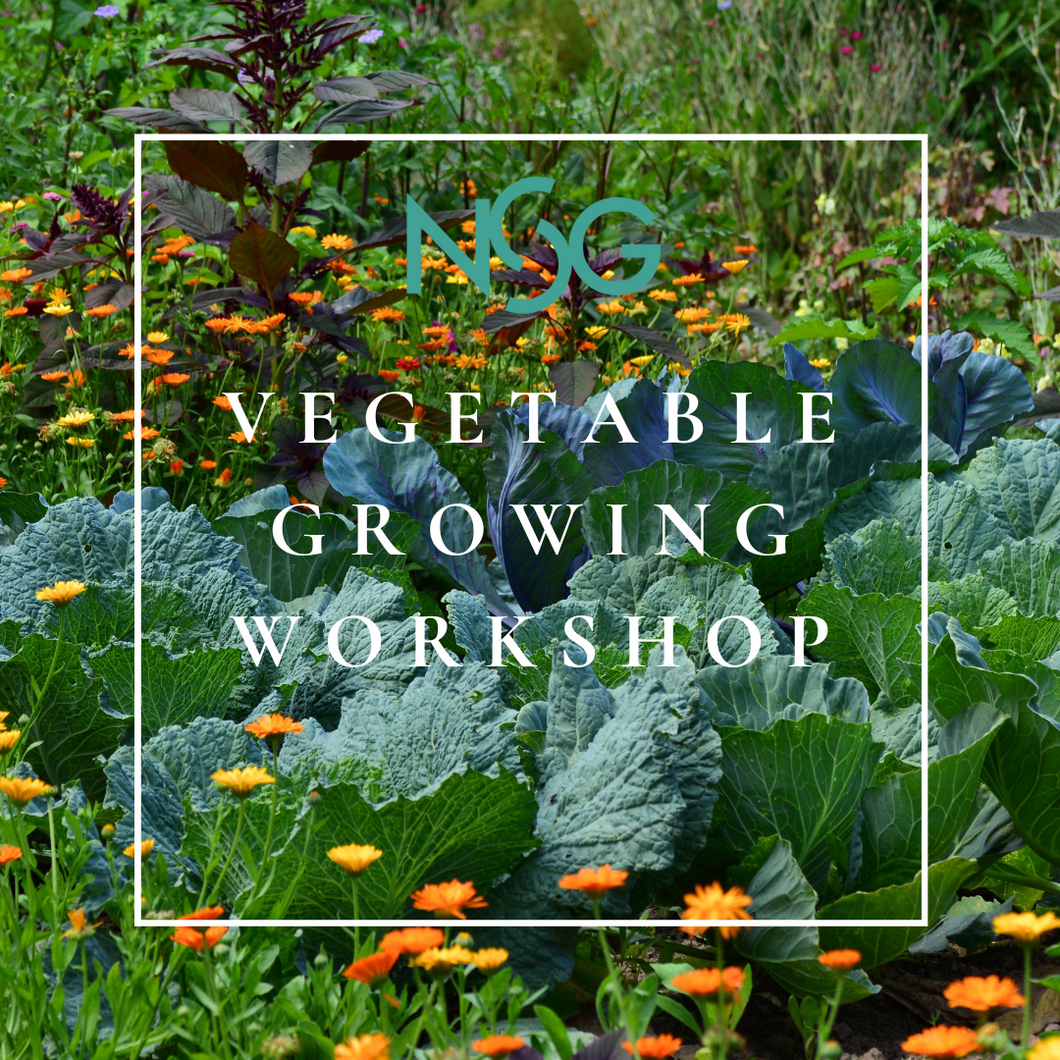 Vegetable Growing Workshop