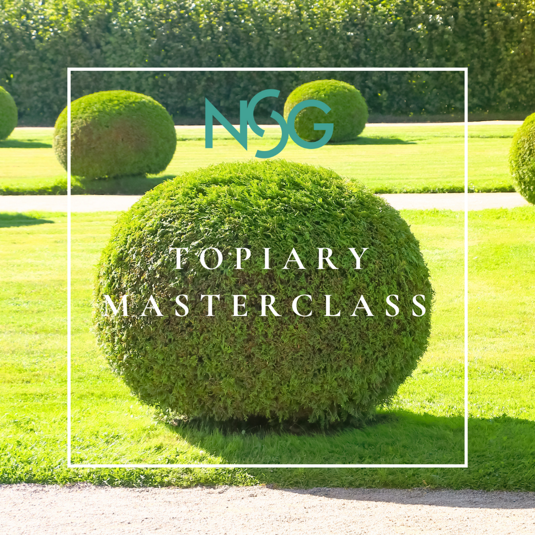 Topiary Pruning Masterclass